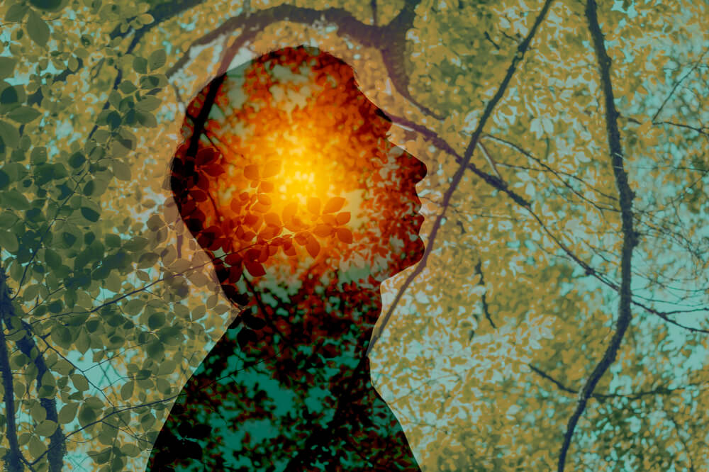 Eine neurologische Behandlung in Leipzig und Rackwitz umfasst die Erkennung und Behandlung von Erkrankungen des Gehirns, der Sinnesorgane, des Rückenmarks, der Nervenwurzeln sowie der peripheren Nerven.