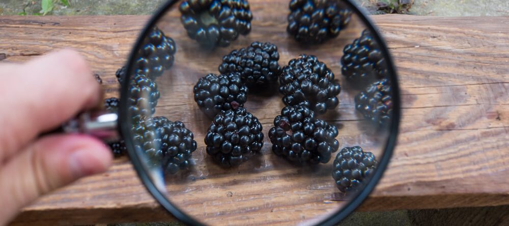 Genau hinsehen- Fachärztliche Gutachten sind ein Angebot der Praxis für Neurologie, Psychiatrie und Psychotherapie des Kindes-, Jugend- und Erwachsenenalters in Leipzig und Rackwitz.